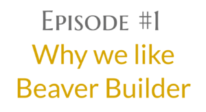 Why we like Beaver Builder Page Builder
