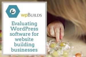 Evaluating WordPress software for website building businesses